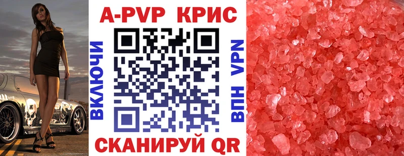 A PVP СК Новодвинск