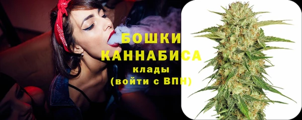 стафф Ростов