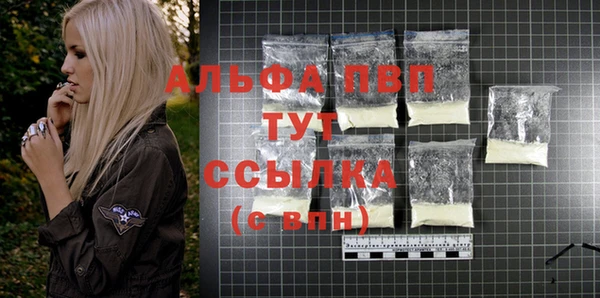 стафф Ростов