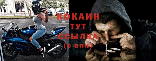 стафф Ростов