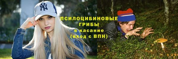 2c-b Гусь-Хрустальный