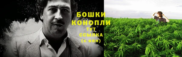 a pvp Рославль
