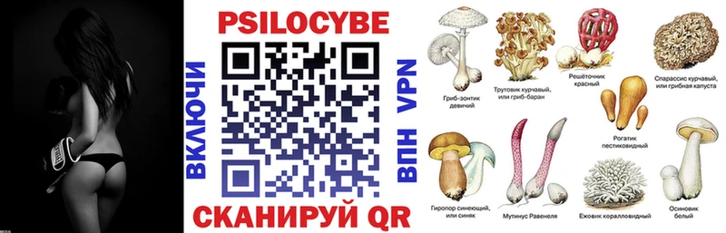 где продают наркотики  Новодвинск  Галлюциногенные грибы мицелий 