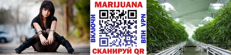 hydra ссылка где купить Новодвинск Канабис индика